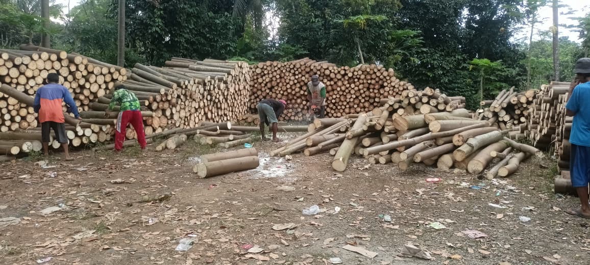 Teknik Pemotongan yang Benar